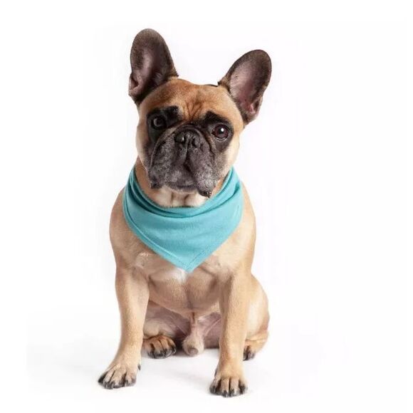 Coco + Rebel Pet Tie-Dye Triangle Bandana for Dogs Size XS/S, 2-pack - Picture 4 of 6